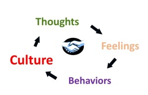 Culture Cycle